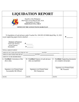 SK Liquidation Report Sample | PDF