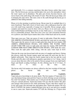 Understanding Havan: Rituals and Benefits | PDF | Nature | Religion And ...