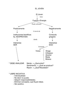 EL JOVEN
El Joven
Fuerza o Energía
Positivamente
Negativamente
Instituciones benéficas 
Conducta
  
Ej: ASOPROVIDA
 
gregaria