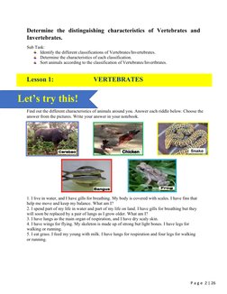 Vertebrates and Invertebrates Overview | PDF | Invertebrate | Amphibian