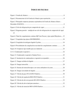 ÍNDICE DE FIGURAS 
 
Figura 1. Concha de Abanico ..........................................................................