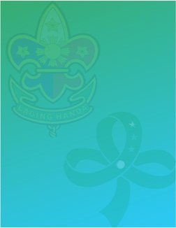 Joint BSP and GSP Investiture Ceremony | PDF