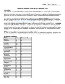 Drosophila Virtual Lab: Sex-Linked Traits | PDF | Genetics | Heredity