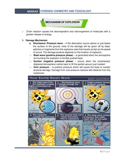 Forensic Analysis of Explosives | PDF | Explosion | Shell (Projectile)