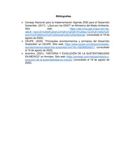 Bibliografías 
 
➢ Consejo Nacional para la Implementación Agenda 2030 para el Desarrollo 
Sostenible. (2017). “¿Qué son los