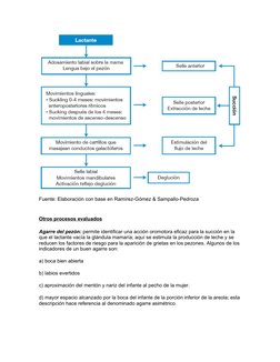 Fuente: Elaboración con base en Ramírez-Gómez & Sampallo-Pedroza
Otros procesos evaluados
Agarre del pezón: permite identific