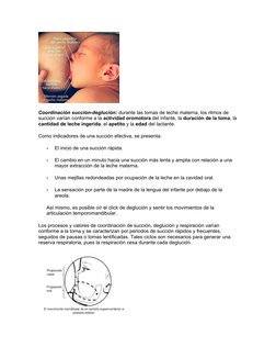 Coordinación succión-deglución: durante las tomas de leche materna, los ritmos de 
succión varían conforme a la actividad oro