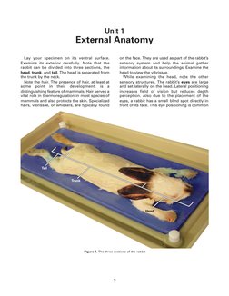Rabbit Dissection Project Carolina Rabbit Dissection Guide PDF | PDF | Heart | Lung