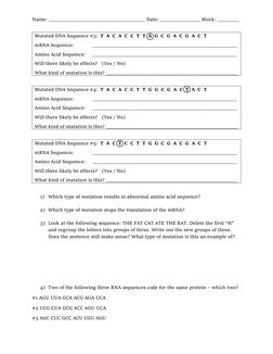 Types of Genetic Mutations Worksheet | PDF | Mutation | Point Mutation