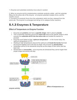 IGCSE Biology: Enzymes Overview | PDF | Enzyme | Active Site