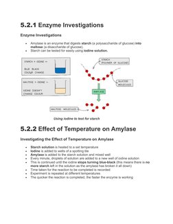 IGCSE Biology: Enzymes Overview | PDF | Enzyme | Active Site