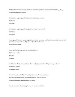 The hypothalamus and pituitary glands are connected by a blood vessel system called the ___29___.
29) Hypophyseal portal syst