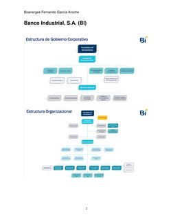 Boanerges Fernando García Aroche 
1 
 
Banco Industrial, S.A. (BI) 
 
 
 
 
 
 
