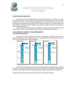 9 
 
 
NorteGEO Eng° de Meio Ambiente e Georreferenciamento Ltda 
Rua Bahia n° 753, Sala 3, Centro. Imperatriz – MA. Cep. 659