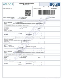 169. Fecha de cierre
Establecimientos, agencias, sucursales, oficinas, sedes o negocios entre otros
161. Actividad económica