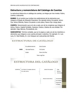 Estructura del Catálogo de Cuentas | PDF | Contabilidad | Business