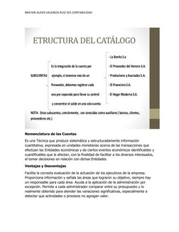 Estructura del Catálogo de Cuentas | PDF | Contabilidad | Business