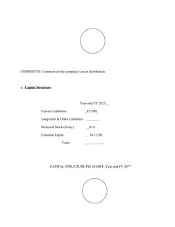 COMMENTS: Comment on the company’s asset distribution.
c.  Capital Structure:
Year-end FY 2023__
Current Liabilities