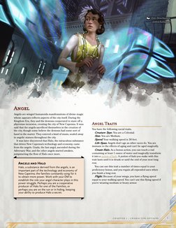 Angel
Angel
Angels are winged humanoids manifestations of divine magic
whose appears reflects aspects of the city itself. Dur