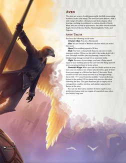  
Aven
Aven
The aven are a race of anthropomorphic birdfolk, possessing
feathers, beaks, and wings. The aven are quite divers