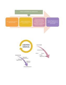 ORGANIZACION
Libertad de 
Representacion
Libertad de 
Reglamentacion
Libertad de 
Federac