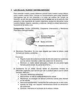 2.   LAS CÉLULAS, TEJIDOS Y SISTEMA NERVIOSO 
Para entender nuestro cuerpo debemos conocer tanto nuestro cuerpo etérico