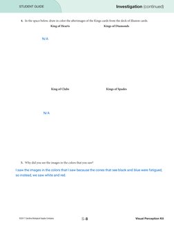 ©2017 Carolina Biological Supply Company
S-8
4.	 In the space below, draw in color the afterimages of the Kings cards from th