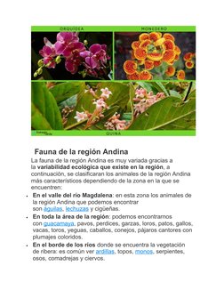 Fauna de la región Andina
La fauna de la región Andina es muy variada gracias a 
la variabilidad ecológica que existe en la r