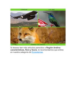 Si deseas leer más artículos parecidos a Región Andina: 
características, flora y fauna, te recomendamos que entres 
en nuest