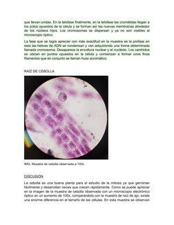 que llevan unidas. En la telofase finalmente, en la telofase las cromátidas llegan a
los polos opuestos de la célula y se for