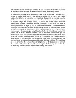 con exactitud el ciclo celular que consiste de una secuencia de eventos en la vida
de una célula y se compone de dos etapas p