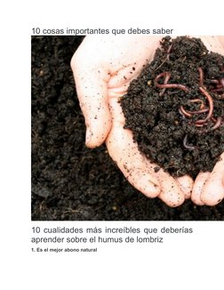 10 cosas importantes que debes saber
10 cualidades más increíbles que deberías
aprender sobre el humus de lombriz
1. Es el me