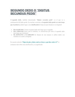 Nombres de los dedos del pie | PDF