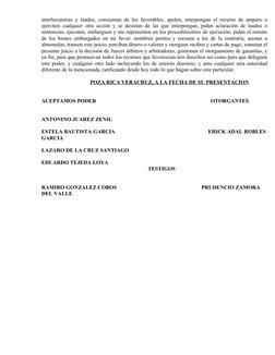 interlocutorias y laudos, consientan de los favorables, apelen, interpongan el recurso de amparo o
ejerciten cualquier otra a