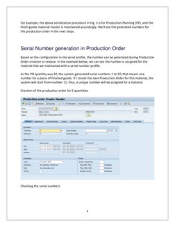 Production Serial Format SAP Serial Number Profile Configuration | PDF | Software | Information