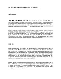 OBJETO: SOLICITAR DECLARATORIA DE QUIEBRA.- 
 
 
SEÑOR JUEZ 
 
 
 
ADRIANA SAMANIEGO, Abogada con Matrícula de la C.S.J. N° 5