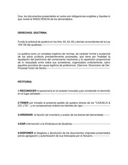 Que, los documentos presentados en autos son obligaciones exigibles y líquidas lo 
que revela la INSOLVENCIA de los demandado