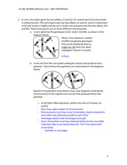 Genetics Practice Exam Questions | PDF | Dominance (Genetics) | Zygosity