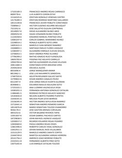 17103189-3
FRANCISCO ANDRES ROJAS CARRASCO 
8009778-6
LUIS ALBERTO CERON ESTAY 
15164325-6
CRISTIAN GONZALO VENEGAS CASTRO 
1