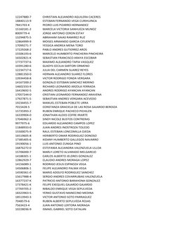 12247880-7
CHRISTIAN ALEJANDRO AGUILERA CACERES 
18840113-9
ESTEBAN FERNANDO VEGA CURIHUINCA 
7841703-K
PEDRO LUIS PIZARRO HE