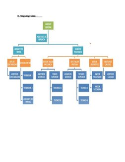 5. Organigrama:        
