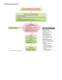 Yes
No
Doses/Details
Atropine IV dose:
First dose: 1 mg bolus. 
Repeat every 3-5 minutes. 
Maximum: 3 mg.
Dopamine IV infusio