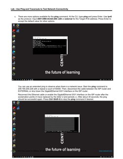 Ping and Traceroute Network Testing Lab | PDF | Computers