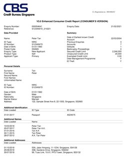 V3.0 Enhanced Consumer Credit Report (CONSUMER’S VERSION) 
 
Enquiry Number: 
000054641 
Enquiry Date: 
21/