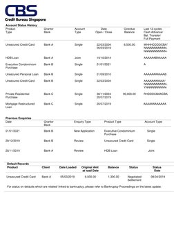 Account Status History 
Product  
Type 
Grantor 
Bank 
Account  
Type 
Date 
Open / Close 
Overdue 
Balance 
Last 12 cycles