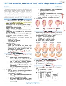 Understanding Leopold's Maneuvers | PDF | Anatomical Terms Of Motion ...