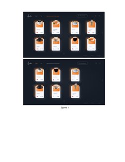 Sprint 1
