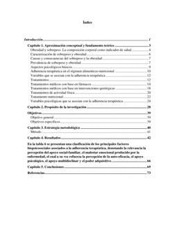 Índice 
 
Introducción ....................................................................................................