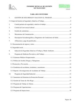 Informe Mensual SST Mayo 2023 | PDF | Seguridad y salud ocupacional ...