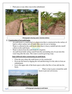 5 | P a g e  
 Vyntex Technologies Production-www.vyntex.co.ke Exceptional services for professionals 
 Plant grass or any